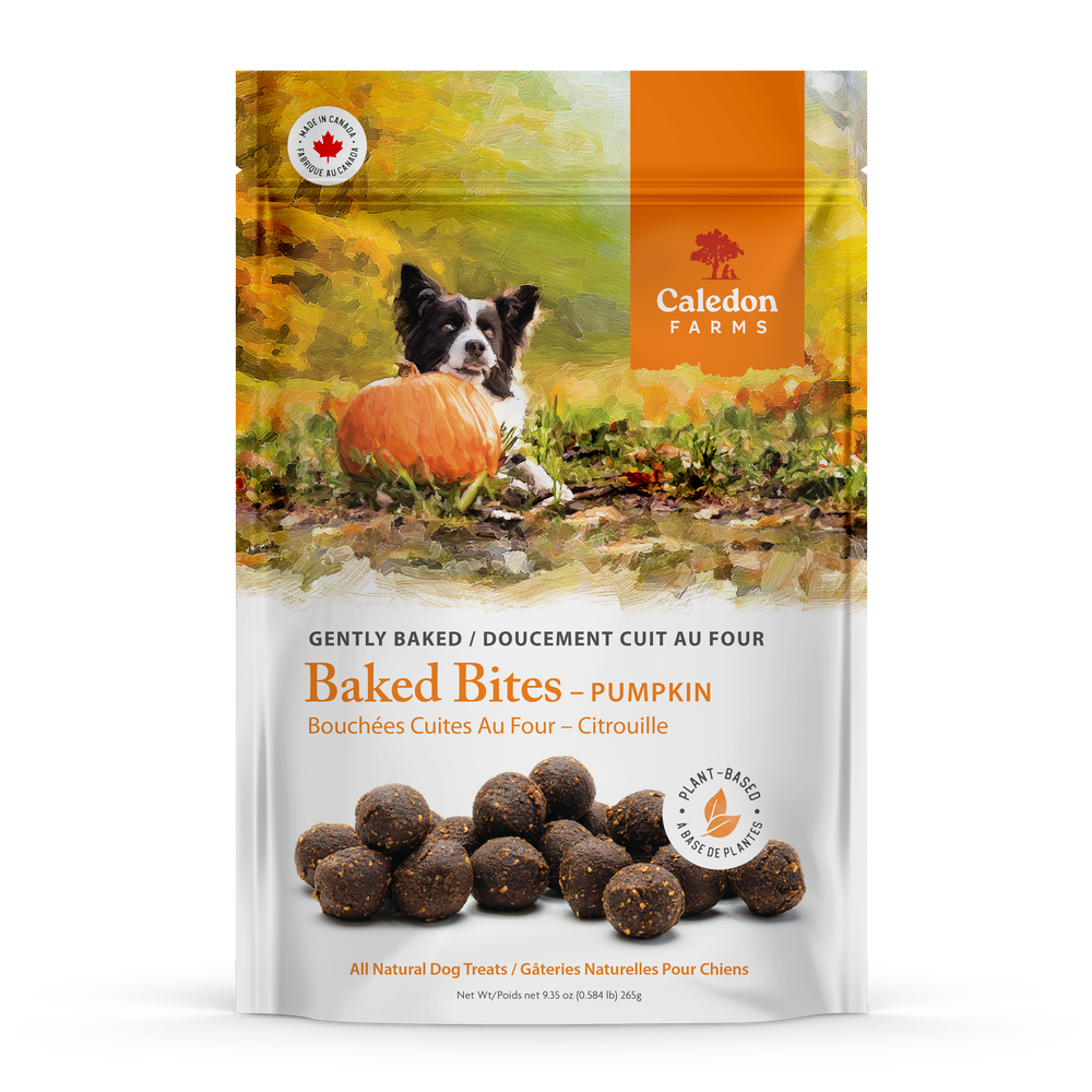 Baked Bites Pumpkin 265g